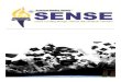 SENSE Presentation - American Welding Society (AWS) - Home Page