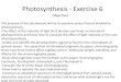 Photosynthesis - Exercise 6 - Science Learning Center [licensed