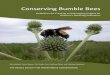 Conserving Bumble Bees - The Xerces Society