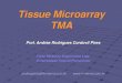Tissue Microarray TMA FIOCRUZ 2007.pdf · 2014. 7. 15. · 4Beecher Instruments, Silver Spring, ... teste de novas técnicas, micro-banco de tecidos ... produzida no programa de desenho
