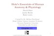 Hole’s Essentials of Human Anatomy & Physiologyhhh.gavilan.edu/jcrocker/documents/Ch11nobackgroundpdf.pdf · 2009. 3. 25. · A. Hormones of the Adrenal Medulla 1. The adrenal medulla