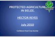 PROTECTED AGRICULTURE IN BELIZE. HECTOR REYES ......HECTOR REYES July 2010 Caribbean Food Crop Society CONTENT • Introduction • Objective • Types of structures used in Belize