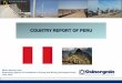 COUNTRY REPORT OF PERU - IEEJCompany Population Government Osinergmin is a public institution of Peru, whose functions are to regulate, supervise and oversee the energy and mining