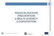 RADICALISATION PREVENTION a MULTI-AGENCY ...Rune Odal –neo nazi viking youth TRAINING 15 TRAINING 16 Introduction General background and History Different Ideologies Community Policing