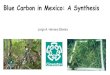 Blue Carbon in Mexico: A Synthesis - CIFOR · 2019. 10. 15. · Blue Carbon Baseline in Mexico ResponsableS: Jorge A. Herrera-Silveira, Andrea Camacho Rico, Israel Medina Gómez,