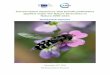 Conservation measures that benefit pollinators applied under ......richness being greater inside Natura 2000, which can benefit particularly threatened and Near Threatened species
