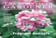 The Magazine of the American Horticultural Society · 2019. 9. 20. · The Magazine of the American Horticultural Society January / February 2011 ... Mitchell-Beazley/Octopus Books