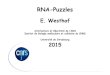 Benasque2 RNA Puzzles Westhof 2015 - Centro de Ciencias ...benasque.org/2015rna/talks_contr/298_Benasque2_RNA...BINF-02-02 " BACNET “ Title Benasque2_RNA_Puzzles_Westhof_2015.pptx