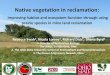 Native vegetation in reclamation - WordPress.com · 2017. 5. 16. · Native vegetation in reclamation: Improving habitat and ecosystem function through using prairie species in mine