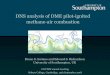 DNS analysis of DME pilot-ignited methane-air combustion...• CH4-air flame initiated from the lean-branch of the triple flame. Space-time map of heat release for 1D mixing layer