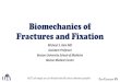 Biomechanics of Fractures and Fixation A2...Wolters Kluwer Health, Inc; 2019. Core Curriculum V5 Bone Defects • When plates and screws removed, risk of fracture increases • Bending
