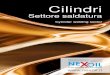 Cilindri - Nexoil settore saldatura_IT_EN.pdf · 2020. 11. 6. · Cilindri Settore saldatura Cylinder welding sector Brands Incorporated by Brands incorporated Nexoil s.r.l. Sede