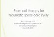 Northwest Regional Spinal Cord Injury System - Stem Cell Slides · 2018. 3. 28. · References continued Kang, K-S., et al. “A 37-Year-Old Spinal Cord-Injured Female Patient, Transplanted
