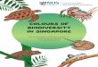 Colours of...Colours of Biodiversity in Singapore | 2 Biodiversity refers to the different types of life forms around us. These include organisms like plants and animals. We are part