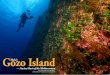 Gozo Island - Ancient Oasis of the Mediterranean | X-Ray ...Dwejra Point. Situated on Dwejra Point a 15-minute drive from Xlendi, Gozo’s most popular dive site features a circular