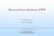 Natural Gas Hydrate FWP - Energy · 2020. 10. 30. · methane gas • Natural gas hydrate (NGH) is an enormous global storehouse of organic carbon • Estimates of carbon trapped