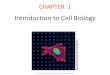 Introduction to Cell Biology - JU Medicine · 2020. 2. 2. · Emphasize cell specialization as it relates to eukaryotic cell s. Discuss the relevance of multicellularity and the signific