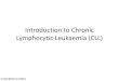 Introduction to Chronic Lymphocytic Leukaemia (CLL) · 2017. 5. 7. · Diagnosis of CLL –WBC count • Full blood count and differential white blood cell (WBC) count are required