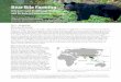 NATIONAL CENTER FOR CASE STUDY TEACHING IN ...Acquiring bear bile for medicinal use originally required the hunting of wild bear species such as Asiatic black bears and sun bears throughout