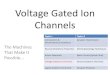 Voltage Gated Ion Channels - Tsukubaliu.wpi-iiis.tsukuba.ac.jp/wp-content/uploads/2016/10/...Ligand-Gated Ion Channels Synaptic Plasticity Study Material •NEUROSCIENCE Third Edition