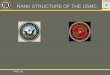 RANK STRUCTURE OF THE USMC