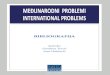 MEĐUNARODNI PROBLEMI INTERNATIONAL PROBLEMS