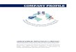 COMPANY PROFILE - One Power InfoTech Ltd