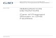 GAO-20-330, IMMIGRATION DETENTION: Care of Pregnant …