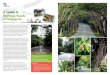 A Guide to Heritage Roads of Singapore - NParks