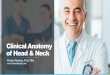 Clinical Anatomy of Head & Neck - WordPress.com