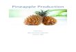 Pineapple Production