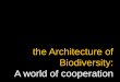 the Architecture of Biodiversity: A world of cooperation
