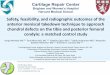 Safety, feasibility, and radiographic outcomes of the 