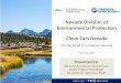 Nevada Division of Environmental Protection