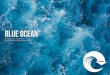 BLUE OCEAN - Marlow Ropes