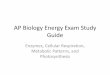 AP Biology Energy Exam Study Guide