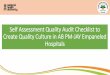 Self Assessment Quality Audit Checklist to Create Quality 