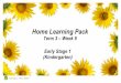 Home Learning Pack - granvillee-p.schools.nsw.gov.au