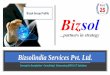 Bizsolindia Services Pvt. Ltd