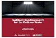 Solitary Confinement in the Pelican State