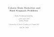 Column Basis Reduction and Hard Knapsack Problems