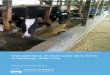 Characteristics of small-scale dairy farms in Lembang 