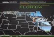 Electronic Handbook of Industrial Resources Florida