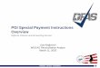 PGI Special Payment Instructions Overview