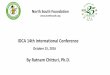 IDCA 14th International Conference