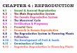 CHAPTER 4 : REPRODUCTION