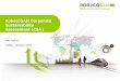 RobecoSAM Corporate Sustainability Assessment (CSA)