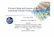 Present State and Issues of the Industrial Cluster Policy 