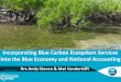 Incorporating Blue Carbon Ecosystem Services into the Blue 