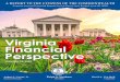 Virginia Financial Perspective